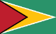 Flag of Guyana