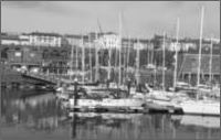 Black and White Effect