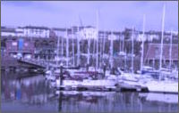 Tint Effect